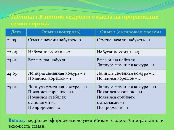 Таблица 1.Влияние кедрового масла на прорастание семян гороха. Вывод: кедровое эфирное масло