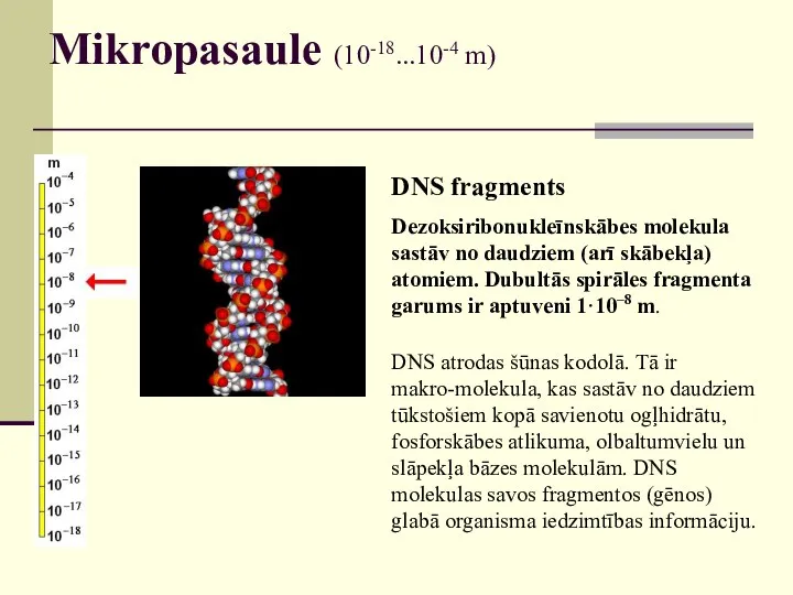 Mikropasaule (10-18...10-4 m) DNS fragments Dezoksiribonukleīnskābes molekula sastāv no daudziem (arī skābekļa)