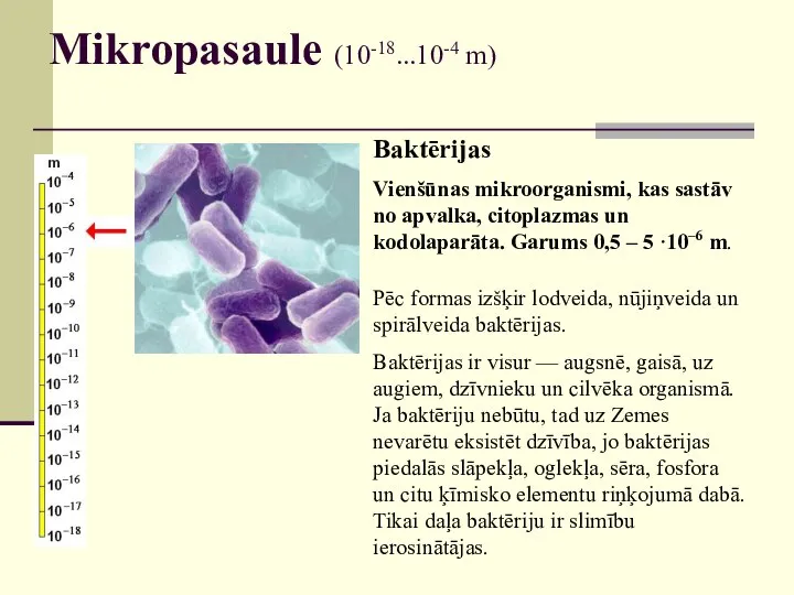 Mikropasaule (10-18...10-4 m) Baktērijas Vienšūnas mikroorganismi, kas sastāv no apvalka, citoplazmas un