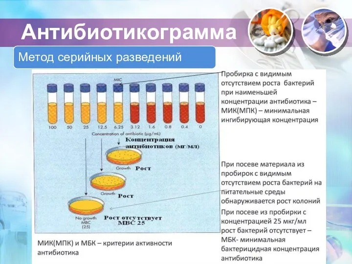 Антибиотикограмма