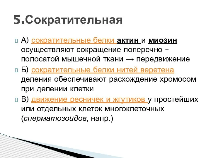 А) сократительные белки актин и миозин осуществляют сокращение поперечно – полосатой мышечной