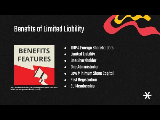 Benefits of Limited Liability 100% Foreign Shareholders Limited Liability One Shareholder One