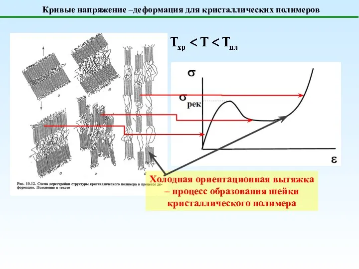 Кривые напряжение –деформация для кристаллических полимеров Холодная ориентационная вытяжка – процесс образования шейки кристаллического полимера