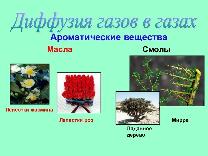 Диффузия газов в газах Ароматические вещества Масла Смолы Лепестки жасмина Лепестки роз Мирра Ладанное дерево