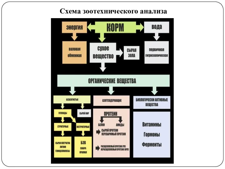 Схема зоотехнического анализа