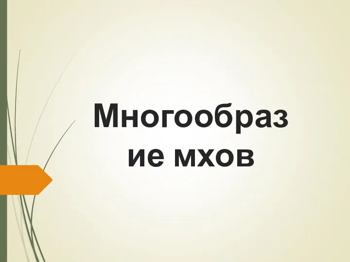 Многообразие мхов