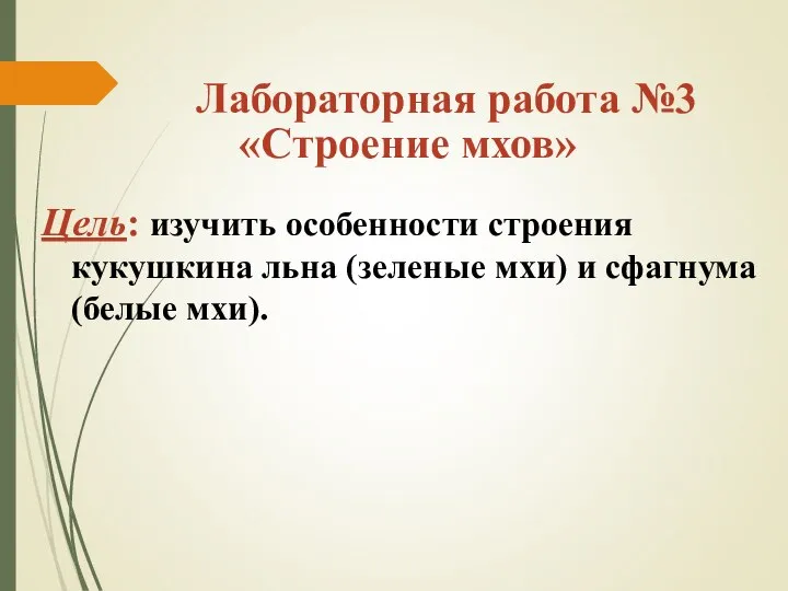 Лабораторная работа №3 «Строение мхов» Цель: изучить особенности строения кукушкина льна (зеленые