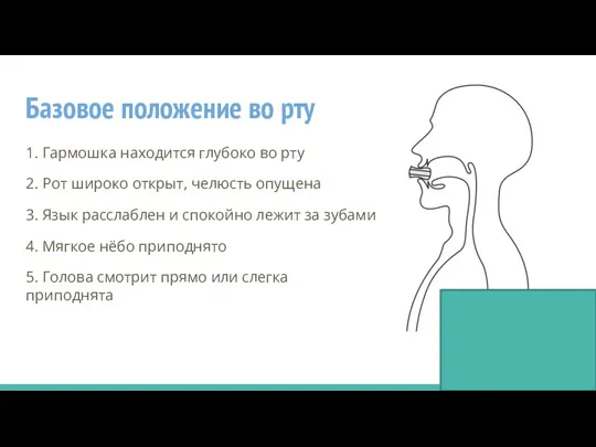 Базовое положение во рту 1. Гармошка находится глубоко во рту 2. Рот