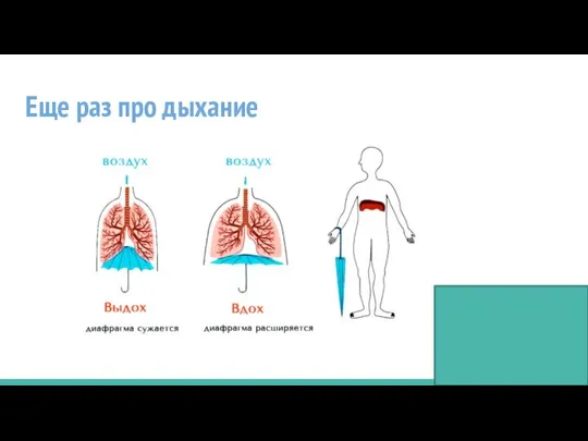 Еще раз про дыхание