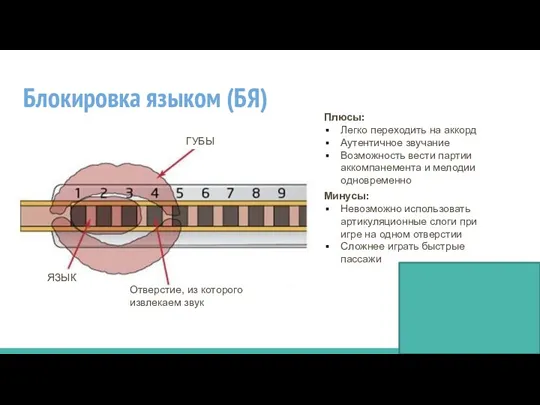 Блокировка языком (БЯ) ГУБЫ Отверстие, из которого извлекаем звук ЯЗЫК Плюсы: Легко