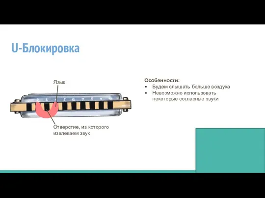 U-Блокировка Язык Отверстие, из которого извлекаем звук Особенности: Будем слышать больше воздуха