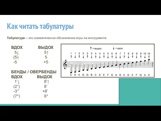 Как читать табулатуры Табулатура – это схематическое обозначение игры на инструменте ВДОХ