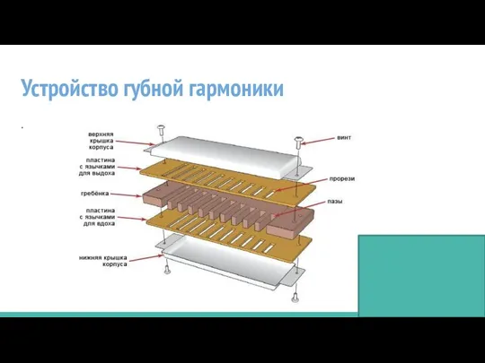 Устройство губной гармоники .