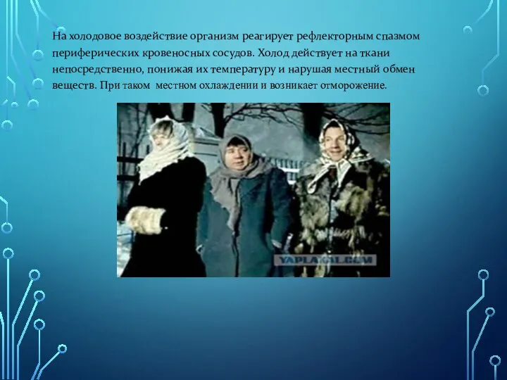 На холодовое воздействие организм реагирует рефлекторным спазмом периферических кровеносных сосудов. Холод действует