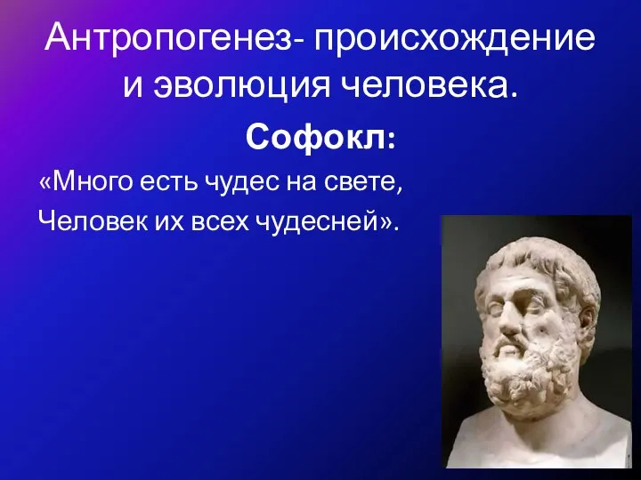 Антропогенез- происхождение и эволюция человека. Софокл: «Много есть чудес на свете, Человек их всех чудесней».