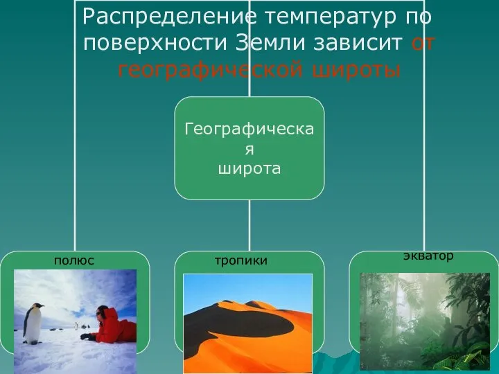 Распределение температур по поверхности Земли зависит от географической широты полюс тропики экватор