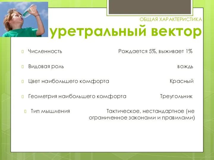 ОБЩАЯ ХАРАКТЕРИСТИКА уретральный вектор Численность Рождается 5%, выживает 1% Видовая роль вождь