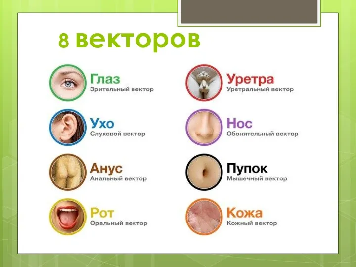 8 векторов