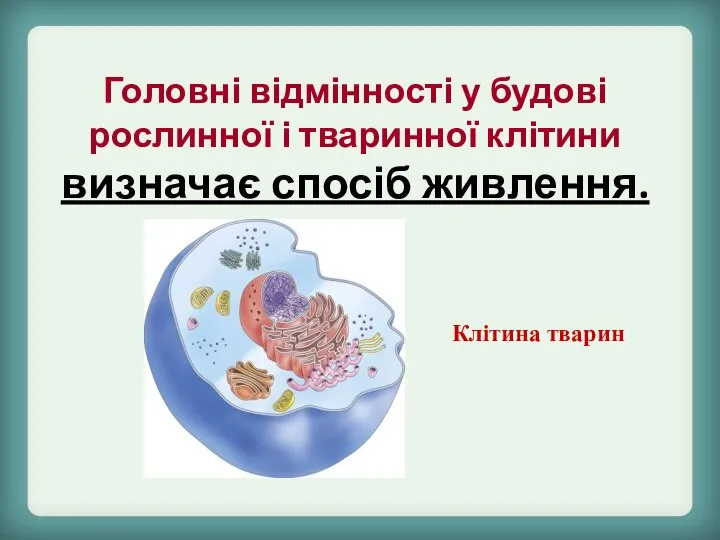 Клітина тварин Головні відмінності у будові рослинної і тваринної клітини визначає спосіб живлення.