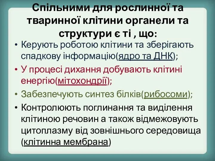 Спільними для рослинної та тваринної клітини органели та структури є ті ,