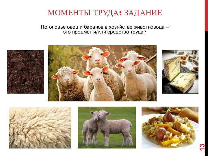 МОМЕНТЫ ТРУДА: ЗАДАНИЕ Поголовье овец и баранов в хозяйстве животновода – это предмет и/или средство труда?