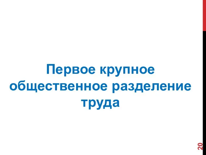 Первое крупное общественное разделение труда