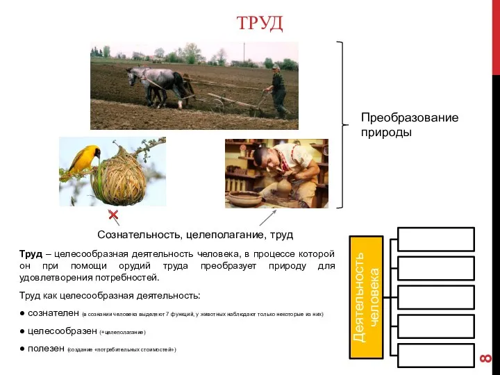 ТРУД Труд – целесообразная деятельность человека, в процессе которой он при помощи