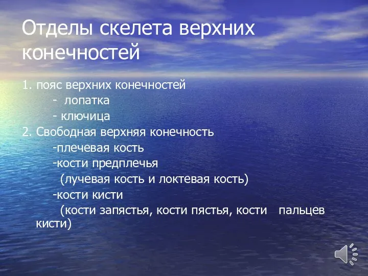 Отделы скелета верхних конечностей 1. пояс верхних конечностей - лопатка - ключица