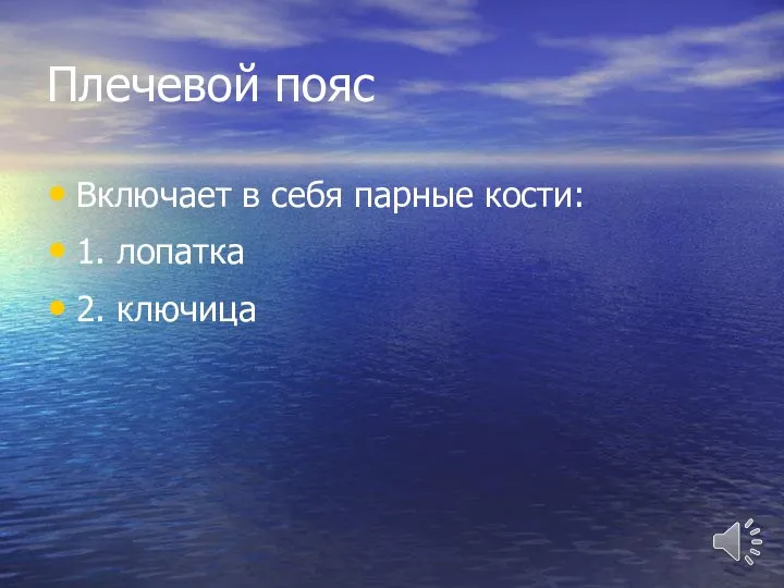 Плечевой пояс Включает в себя парные кости: 1. лопатка 2. ключица