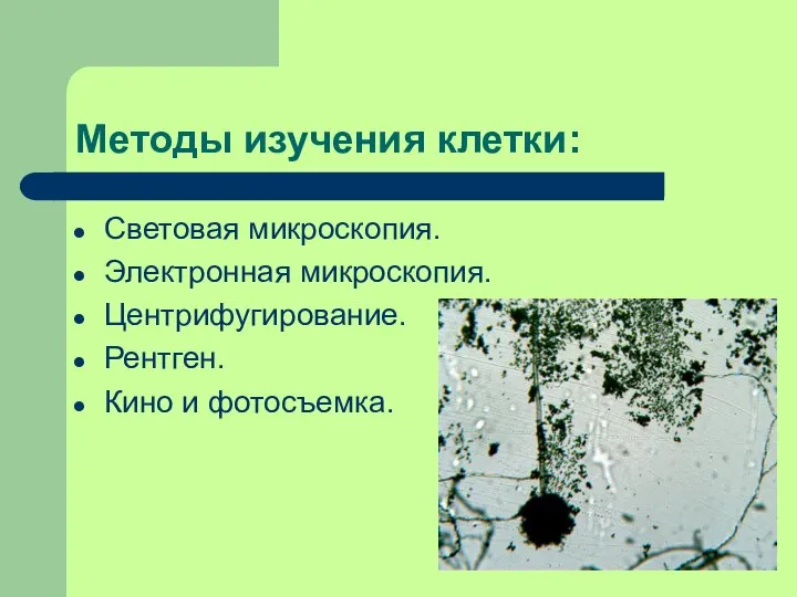 Методы изучения клетки: Световая микроскопия. Электронная микроскопия. Центрифугирование. Рентген. Кино и фотосъемка.