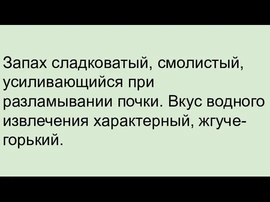 Запах сладковатый, смолистый, усиливающийся при разламывании почки. Вкус водного извлечения характерный, жгуче-горький.