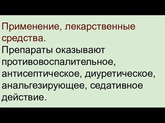 Применение, лекарственные средства. Препараты оказывают противовоспалительное, антисептическое, диуретическое, анальгезирующее, седативное действие.