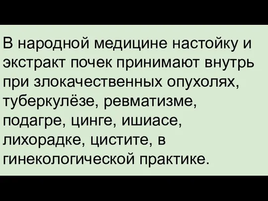 В народной медицине настойку и экстракт почек принимают внутрь при злокачественных опухолях,