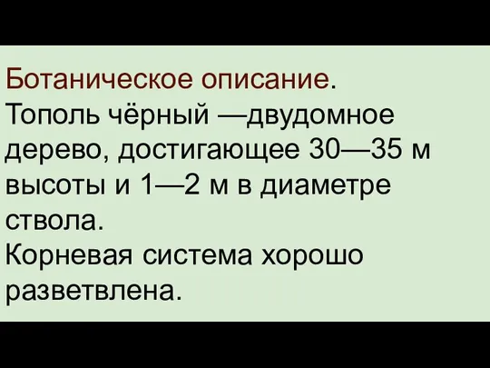 Ботаническое описание. Тополь чёрный —двудомное дерево, достигающее 30—35 м высоты и 1—2