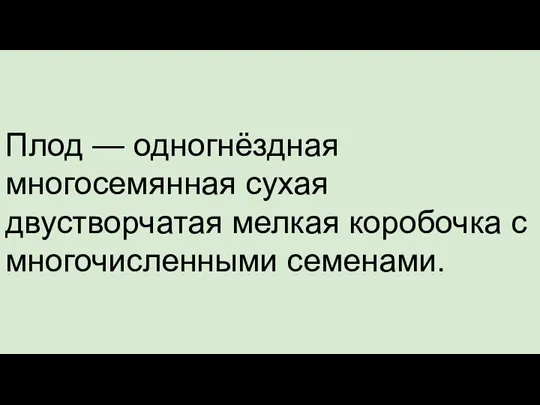 Плод — одногнёздная многосемянная сухая двустворчатая мелкая коробочка с многочисленными семенами.