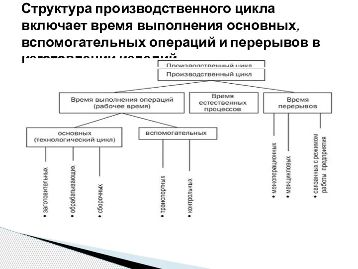 Структура производственного цикла включает время выполнения основных, вспомогательных операций и перерывов в изготовлении изделий