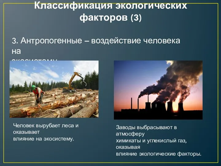 Классификация экологических факторов (3) 3. Антропогенные – воздействие человека на экосистему. Человек