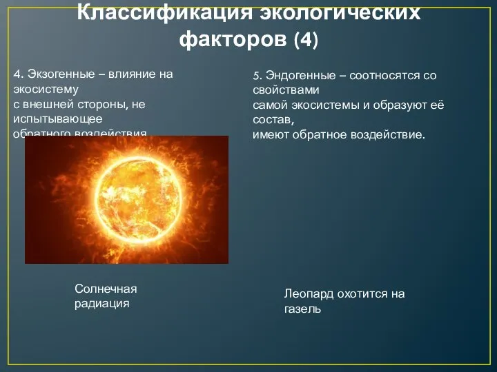 Классификация экологических факторов (4) 4. Экзогенные – влияние на экосистему с внешней