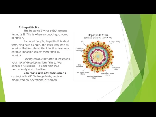 2) Hepatitis B :- The hepatitis B virus (HBV) causes hepatitis B.