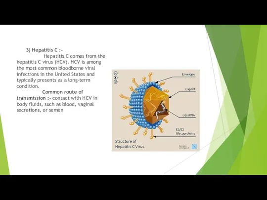 3) Hepatitis C :- Hepatitis C comes from the hepatitis C virus