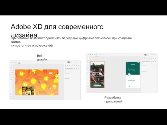 Adobe XD для современного дизайна Приложение позволяет применять передовые цифровые технологии при