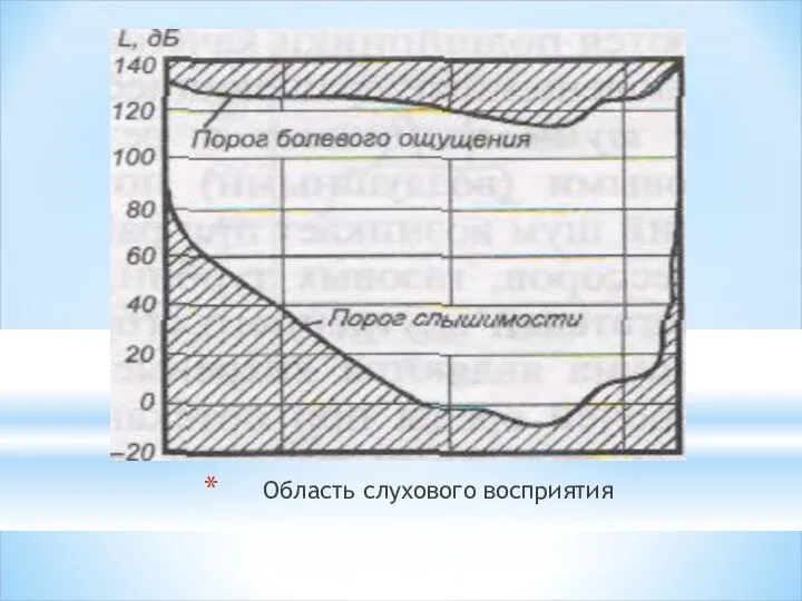 Область слухового восприятия