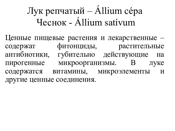Лук репчатый – Állium cépa Чеснок - Állium satívum Ценные пищевые растения