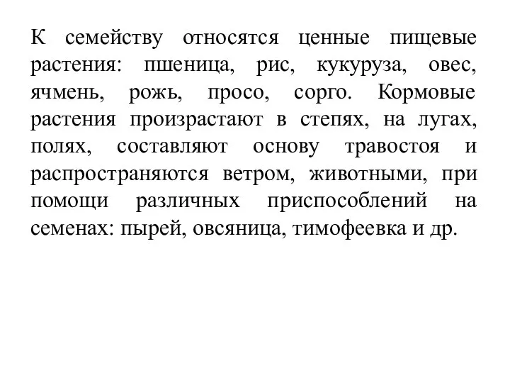 К семейству относятся ценные пищевые растения: пшеница, рис, кукуруза, овес, ячмень, рожь,