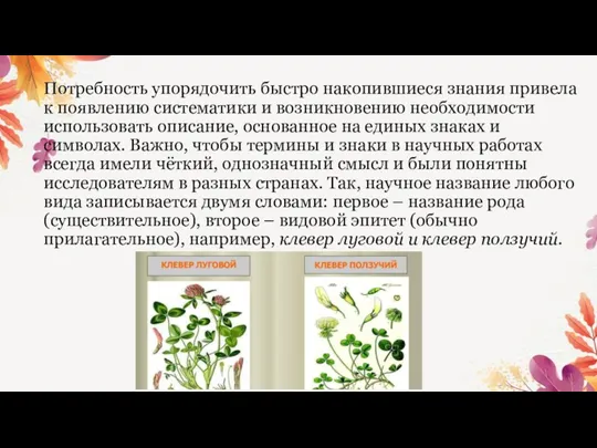 Потребность упорядочить быстро накопившиеся знания привела к появлению систематики и возникновению необходимости