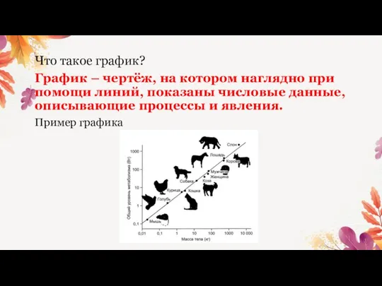 Что такое график? График – чертёж, на котором наглядно при помощи линий,