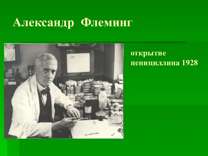 Александр Флеминг открытие пенициллина 1928