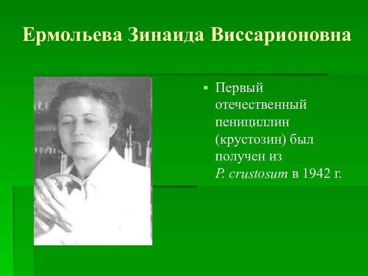 Ермольева Зинаида Виссарионовна Первый отечественный пенициллин (крустозин) был получен из P. crustosum в 1942 г.