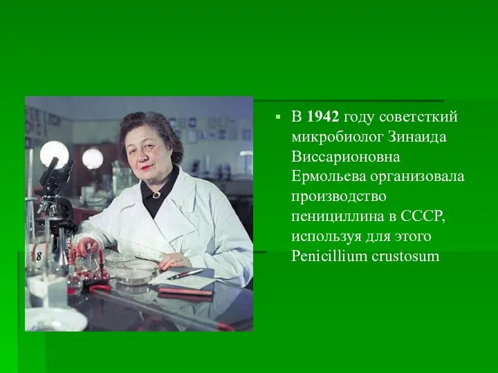 В 1942 году советсткий микробиолог Зинаида Виссарионовна Ермольева организовала производство пенициллина в