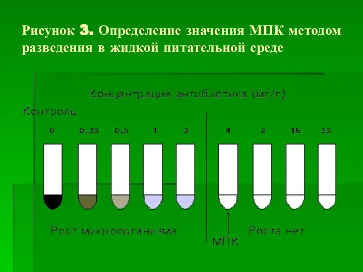 Рисунок 3. Определение значения МПК методом разведения в жидкой питательной среде